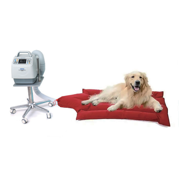 Veterinary Warming System: Essential Thermoregulation for Enhanced Patient Care & Recovery