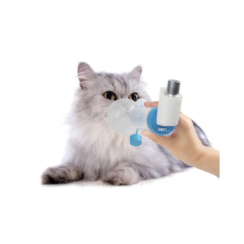 Aerochamber: Enhancing Respiratory Therapy Through Innovative Spacer Technology