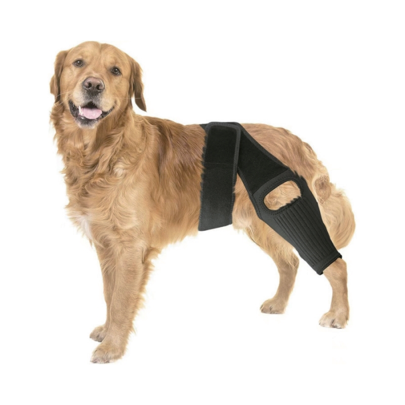 Restoring Mobility and Comfort: The KELLYUNION Pet Knee Straps Solution
