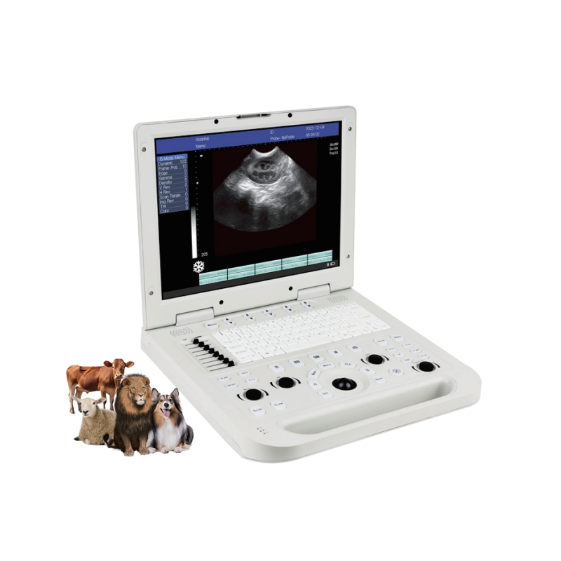 The Essential Role of Full Digital Laptop Ultrasound Systems in Modern Animal Care